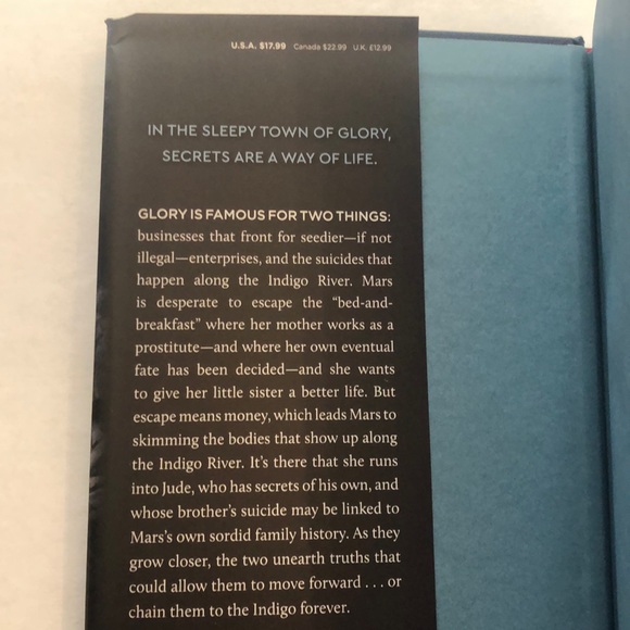 Along The Indigo by Elsie Chapman Hardcover Book - Picture 5 of 11